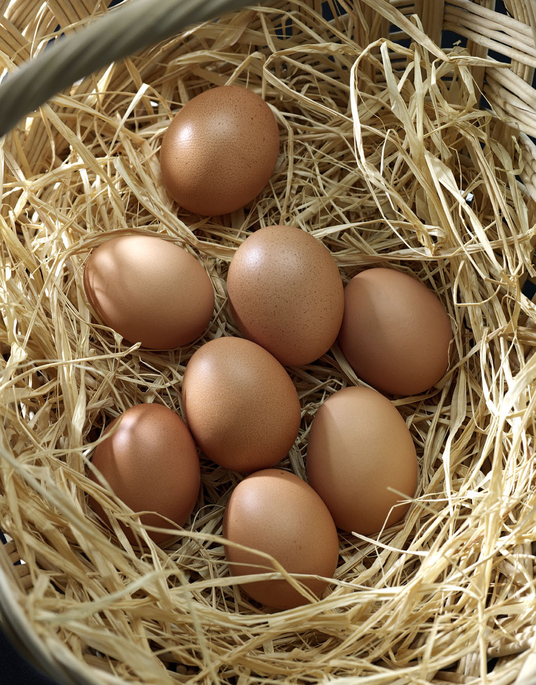 NUTRITION INGREDIENTS