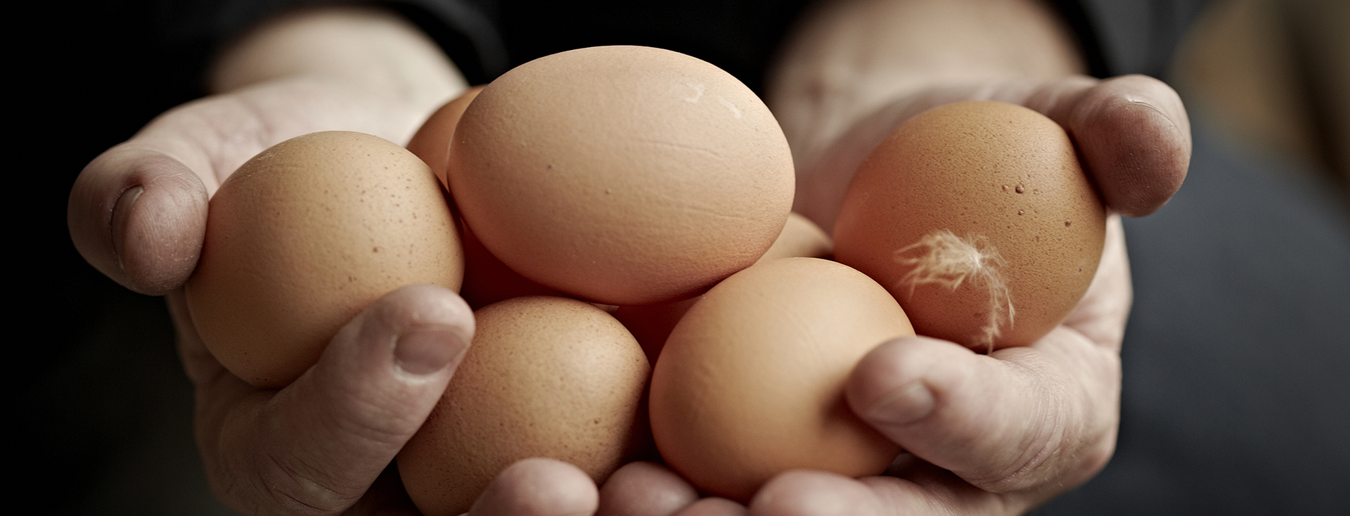 COUNTRY OF ORIGIN AND HOUSING SYSTEM