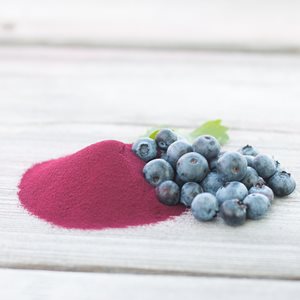 BLUEBERRY FRUIT POWDER